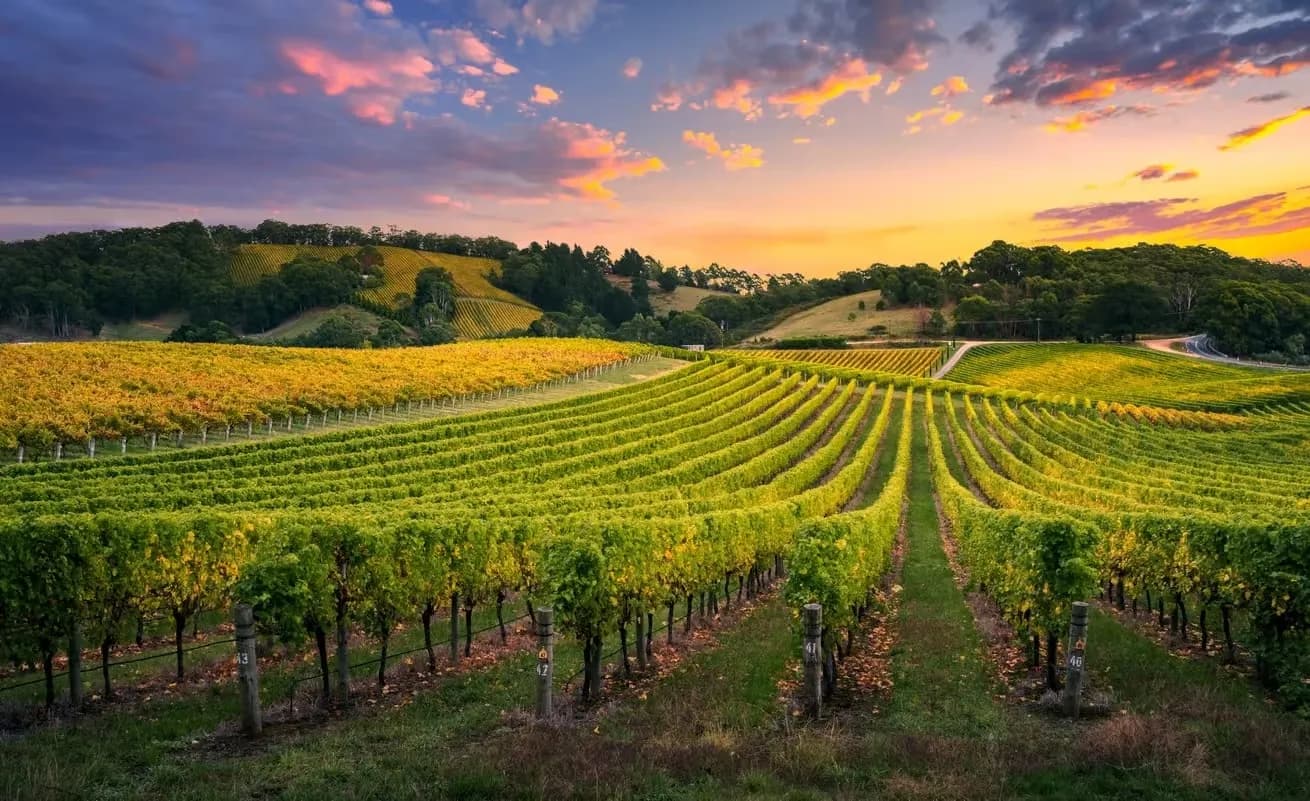 Solar batteries and panels in Barossa Valley, South Australia